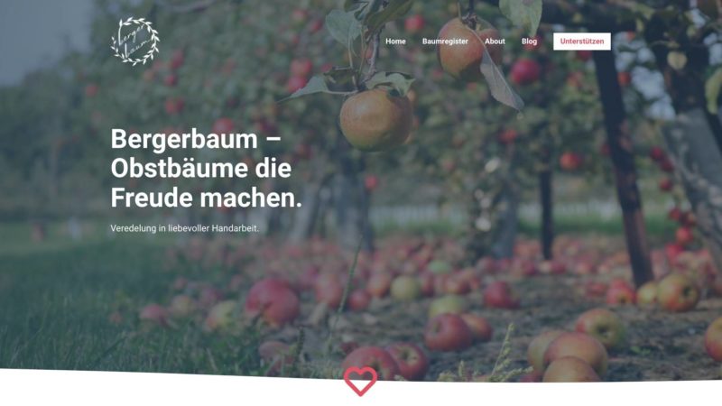 Website Umsetzung: Bergerbaum