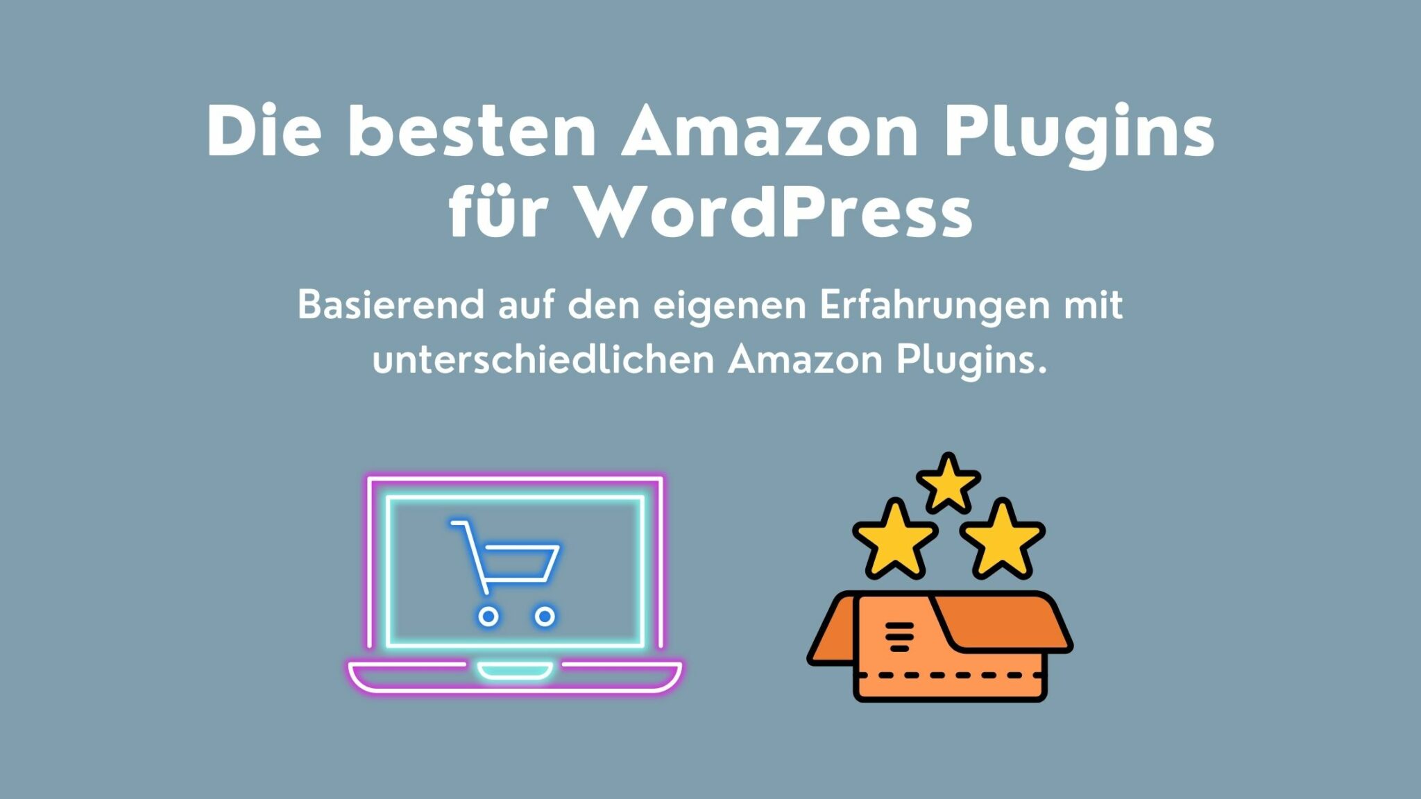 Die 5 besten Amazon Plugins für WordPress Sebastian Würfel