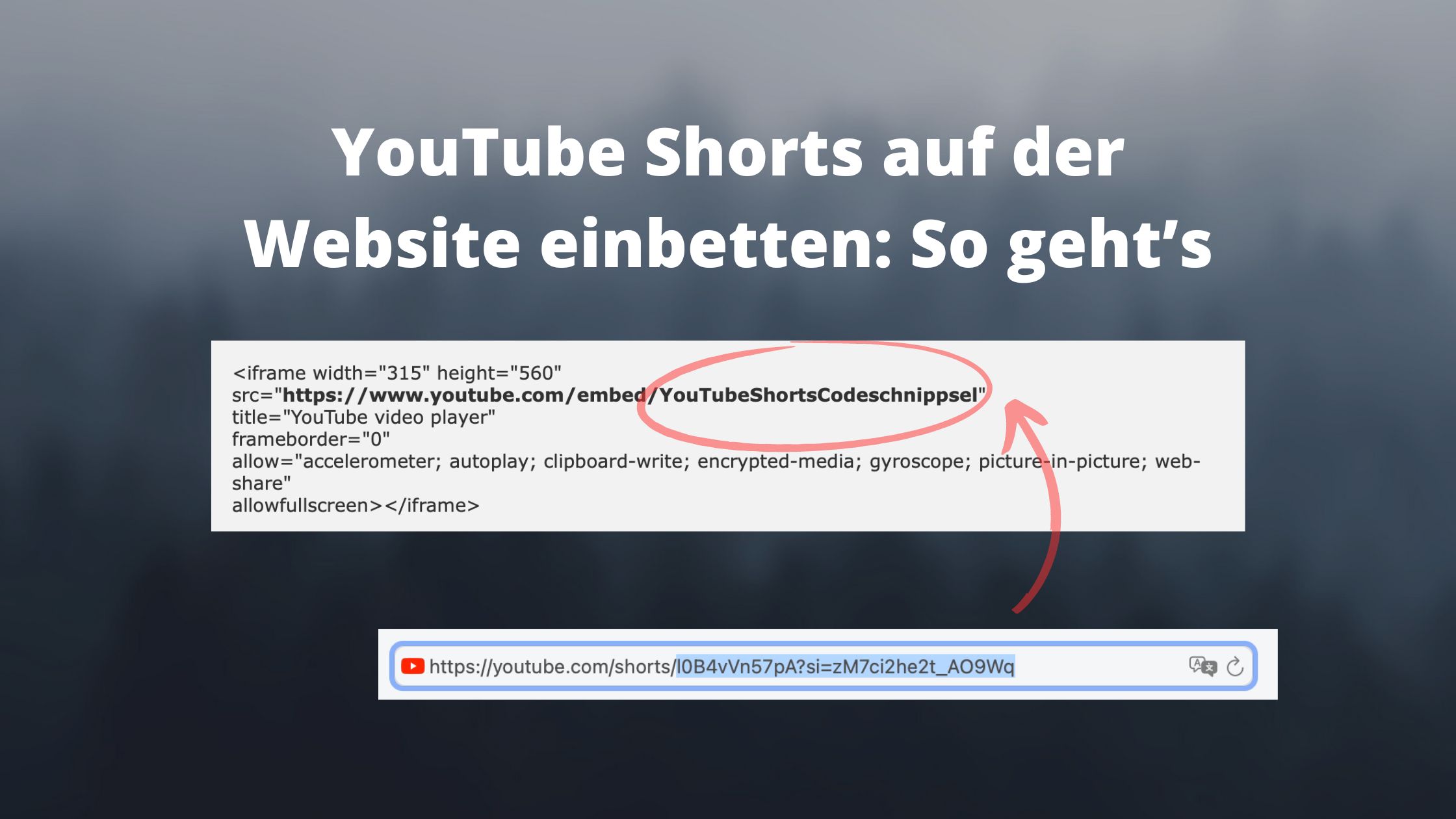 YouTube Shorts Video einbetten Anleitung Beitragsbild