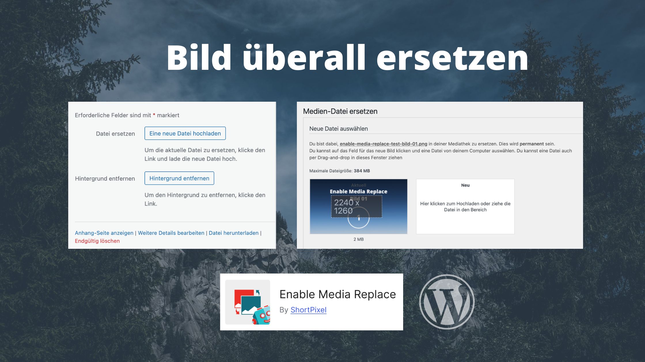 Bild gesamte Website ersetzen WordPress